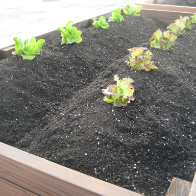 屋上菜園やプランターに最適 そらのはたけの土 l 雑貨 大丸商事 株式会社 問屋 仕入れ 卸 卸売の専門 仕入れならnetsea