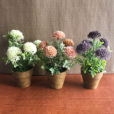お部屋をグッと華やかに枯れない植物で作る手軽な癒し空間【フラワーポット・トールヒドランジア】
