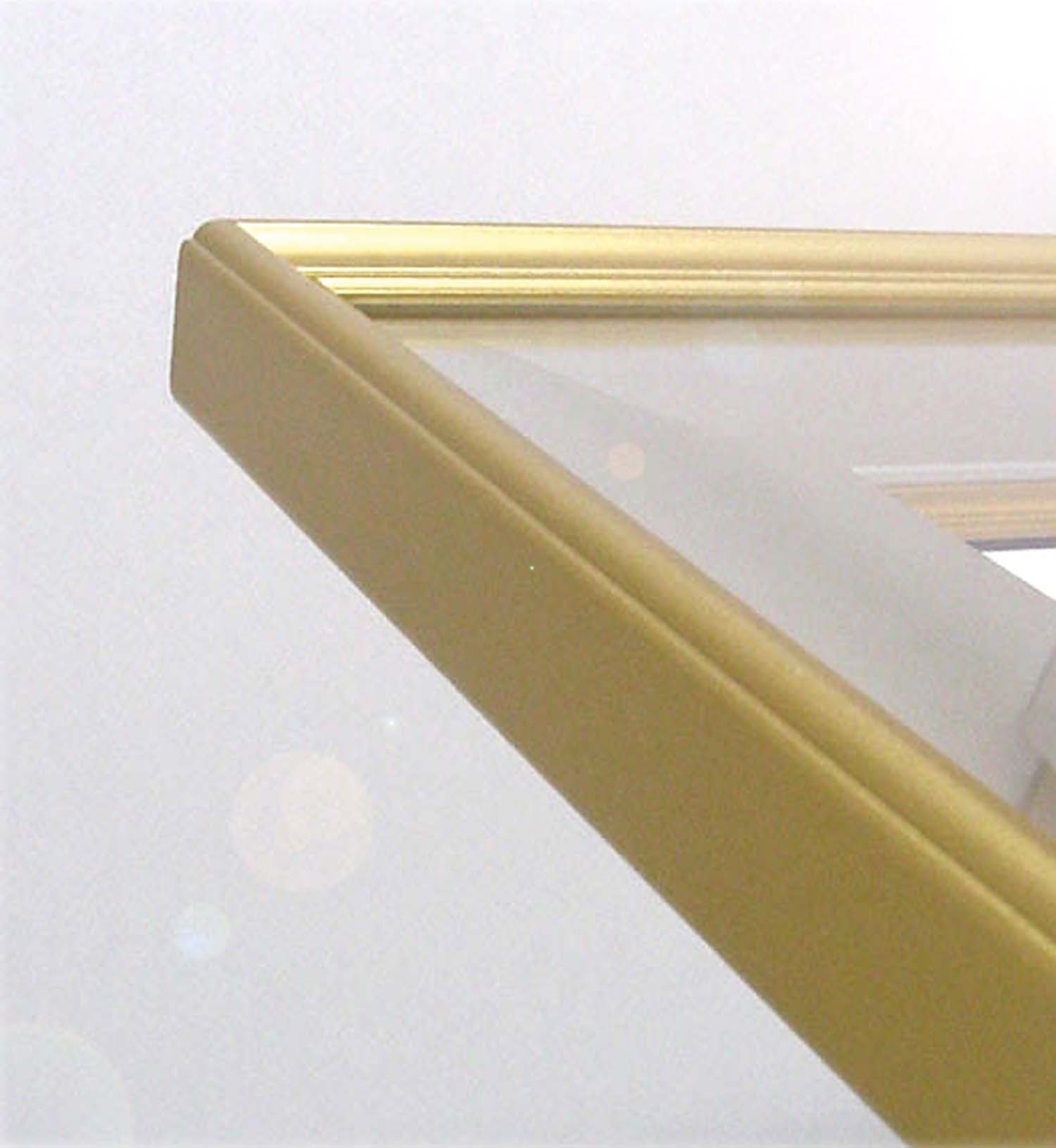 【高級色紙額】輝く金フレームの色紙額・輝く銀フレームの色紙額 金銀色紙（マット付き）273×242mm nappy-net (なっぴーネット