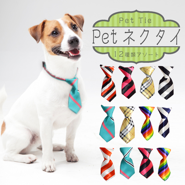 売り切れごめん ペット用蝶ネクタイ ネクタイ 雑貨 株式会社フジキン 問屋 仕入れ 卸 卸売の専門 仕入れならnetsea