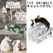 ■キーストーン■　ICE ANIMALS　キャットハチワレ