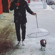 ペット用傘 犬用傘 ペット傘 雨具 散歩 小型犬 中型犬 犬 梅雨 お散歩グッズ