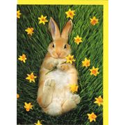 グリーティングカード イースター「花を持ったうさぎ」メッセージカード カラー写真