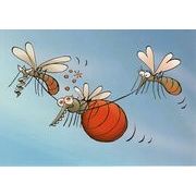 ポストカード イラスト フィンランドの蚊シリーズ「そんなに食べ過ぎるなよ！」