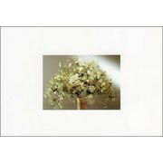 ポストカード カラー写真「白い花のアレンジメント」郵便はがき
