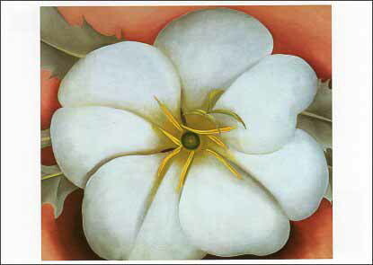ポストカード アート オキーフ「赤い背景の白い花」名画 郵便はがき