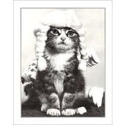 ポスター モノクロ写真「三つ編みヘアの猫/あなたの名誉」サイズ/240×300mm