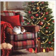 グリーティングカード クリスマス「チェックのソファで眠る犬」メッセージカード