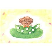 ポストカード marron125「コーヒーカップわんちゃん」水彩画 犬かわいい