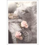 ポストカード カラー写真 「猫とバラの花」 郵便はがき メッセージカード