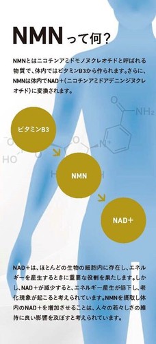 サプリメント】NMNエスコート 株式会社アデランスメディカルリサーチ 問屋・仕入れ・卸・卸売の専門【仕入れならNETSEA】