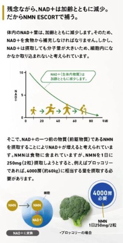 サプリメント】NMNエスコート 株式会社アデランスメディカルリサーチ | 卸売・ 問屋・仕入れの専門サイト【NETSEA】