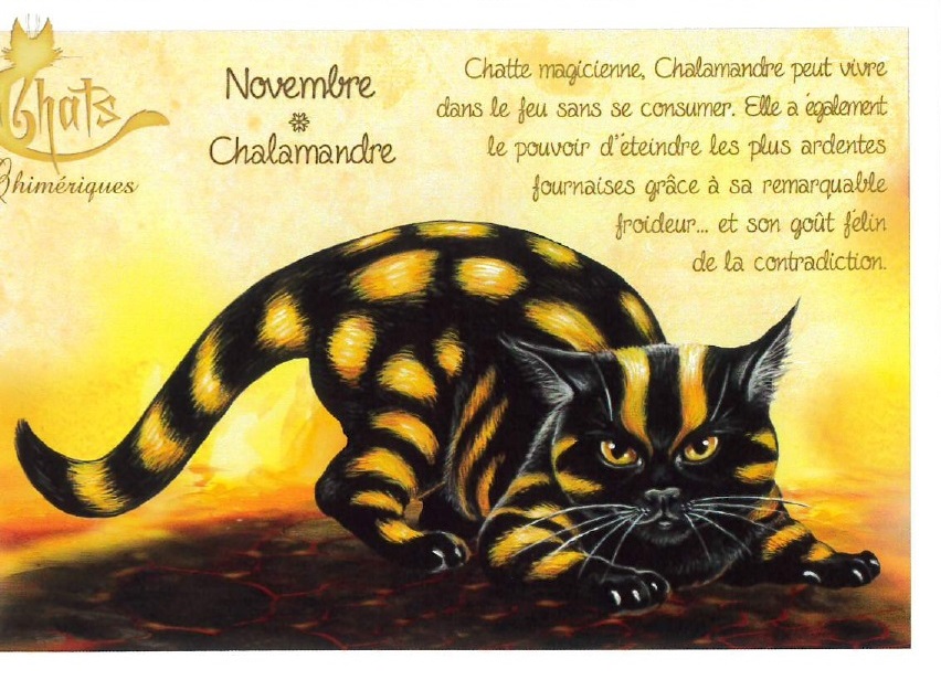 セブリーヌ 【 キャット ポストカード 】 Novembre Chalamandre 11月 イモリ 猫 ネコ