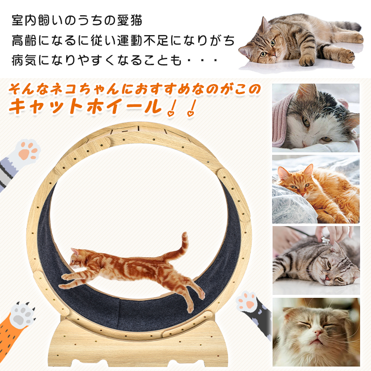 キャットホイール トレッドミル 猫 ルームランナー 新品 ペット用品