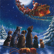 グリーティングカード クリスマス「サンタを見送る犬猫」 メッセージカード