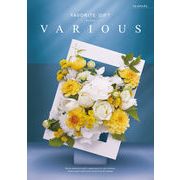 カタログギフト VARIOUS(べリアス）アムステルダム　3，740円コース（包装・のし無料サービス）