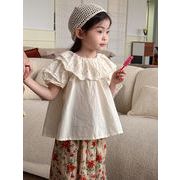 2025夏新作  韓国風子供服  キッズ服   トップス   半袖     Tシャツ