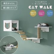 【予約商品納期約1ヶ月】  キャットタワー 壁掛け ホワイトボックス はしご 猫 タワー 猫の家具