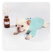 秋 猫服 可愛い ファッション 小中型犬服 犬猫洋服 ペット用品 ドッグウェア 猫雑貨 Tシャツ