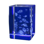 3Dクリスタル(M)　クマノミと熱帯魚　ブルー