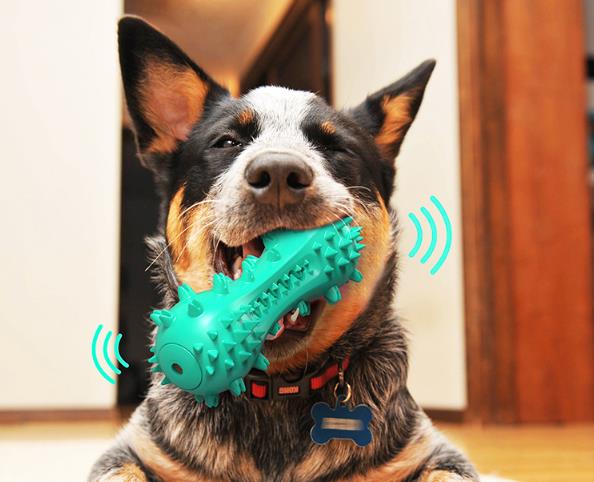 犬用おもちゃ 噛むおもちゃ 犬用歯ブラシ 犬の歯ブラシ 犬の噛むおもちゃ 健全な臼歯スティック