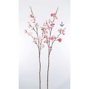 造花　ドライ　ディスプレイ　Ａ－３３５６１　桜×５０　つぼみ　＃００３Ｔ　ツ－トンピンク