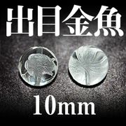 出目金魚　水晶　10mm