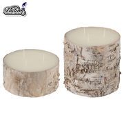 ■DULTON（ダルトン）■■X'mas■　Birch wood stump candle