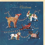 グリーティングカード クリスマス「5匹の犬」メッセージカード