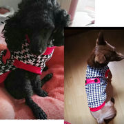 新作犬服 春 秋  ドッグウェア 犬の服 ペット服 ベスト  Tシャツ 可愛い かわいい  快適 おしゃれな犬服