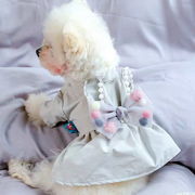 人気 ファッション 小型犬 中型犬