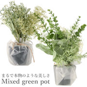 フェイクグリーン ミニ 造花 観葉植物 イミテーショングリーン インテリアグリーン サキュレント バ