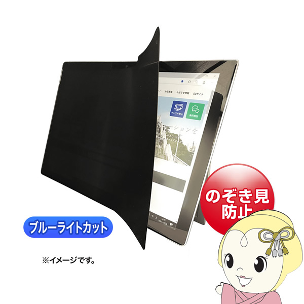 2WAY覗き見防止フィルム サンワサプライ iPad 10.9インチ対応 LCD-ZE2LN109IPAD