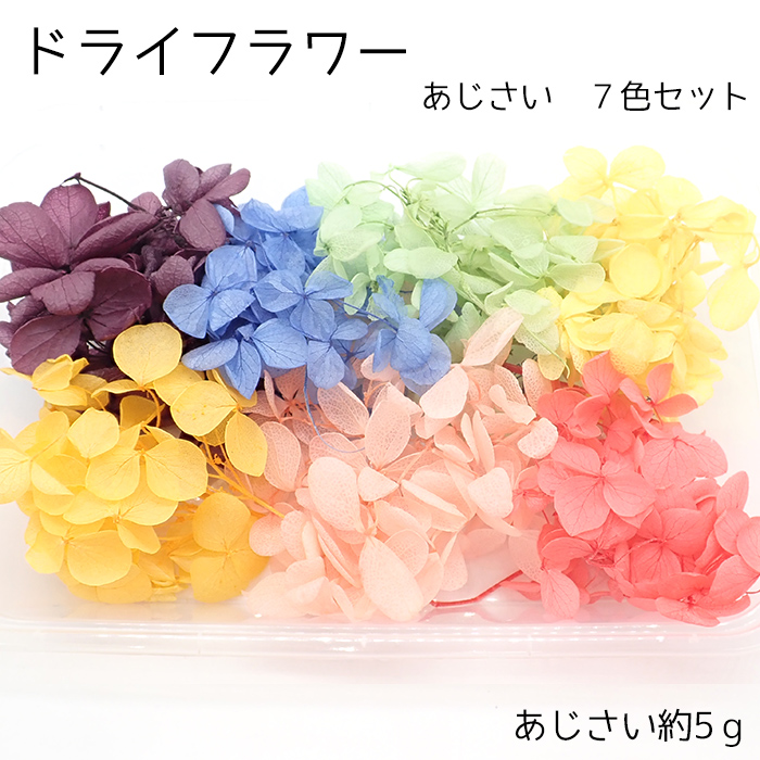 高品質の人気 専用商品】 アジサイ リクエストアソート 紫陽花 汚らしく 鉢花