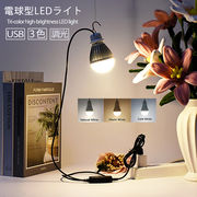 電球型 LEDライト USB 式 調光機能付 LED 電球 LEDランプ 60W形相当 LED電球 電源コード長さ2.0&#8575;