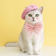 犬 猫 調節可能なペットの首輪 ペットの帽子 クリスマス ペット服 タオル  蝶ネクタイ かわいい  小型犬