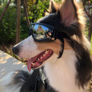 ペットグラス、犬用品、ゴーグル、防水、防風、日焼け止め、UV保護、大型犬用メガネ