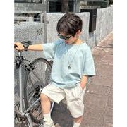 2024夏新作  ベビー服 韓国風子供服  男の子カジュアルパンツ 五分ズボン  3色  100cm-160cm