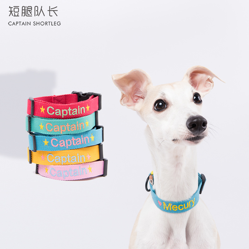 犬の首輪、刺繍の首輪、犬の首輪、カスタマイズ可能な名前の首輪、カラフルなペットの首輪