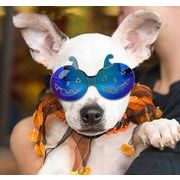 ペットの眼鏡★超可愛いペット用品★犬用メガネ  ファッション 小物★ペット用サングラス★犬猫兼用