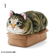 【ワゴンセール・即納】小さすぎる箱にむぎゅっと入った猫の小物入れ ペンケース キジトラ猫