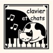 ノア+ 折りたたみリュック ピアノ NF834