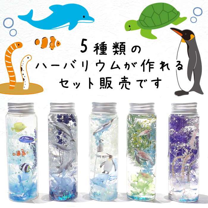 海の生き物 ハーバリウム 予約販売 5月中旬頃順次発送】 【日本製】工作キット 海の生き物 ハー