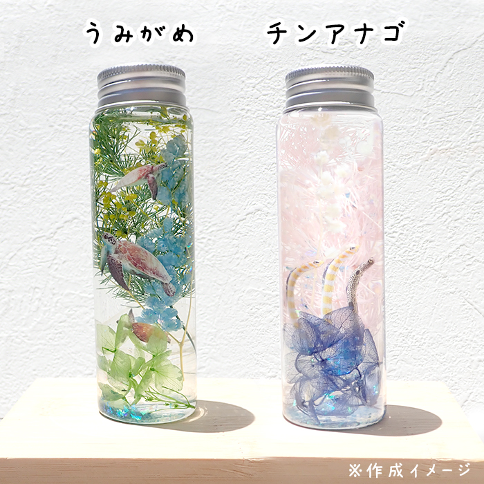 予約販売 5月中旬頃順次発送】 【日本製】工作キット 海の生き物 ハー