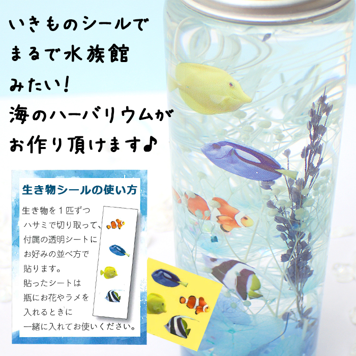 予約販売 5月中旬頃順次発送】 【日本製】工作キット 海の生き物 ハー