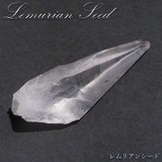 レムリアンシード 原石 ブラジル産 一点物 Lemurian Seed 稀少石 浄化 天然石 パワーストーン