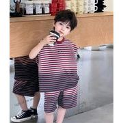 2024夏新作  ベビー服 韓国風子供服 男の子  半袖  トップス+ショートズボン  2点セット 2色 90cm--140cm
