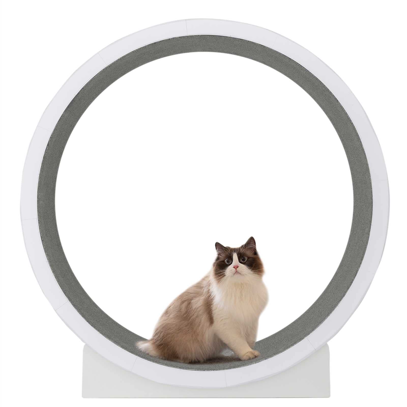 【BLANKX】キャットホイール 猫 ランニングホイール キャットウォーク BLANKX】キャットホイール 猫 ランニングホイール キャット