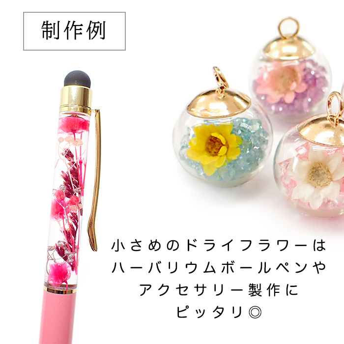 デコパーツ【109. ドライフラワー 試験管 ボトル】小さめ ミニ ハー