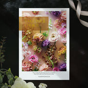 チョイスギフト テイク・ユア・チョイス　カランコエ  8690円コース【包装無料】（カタログギフト）